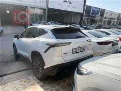 جيتور داشينج